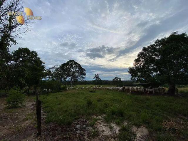 Fazenda venda em Pimenta Bueno, Região Norte