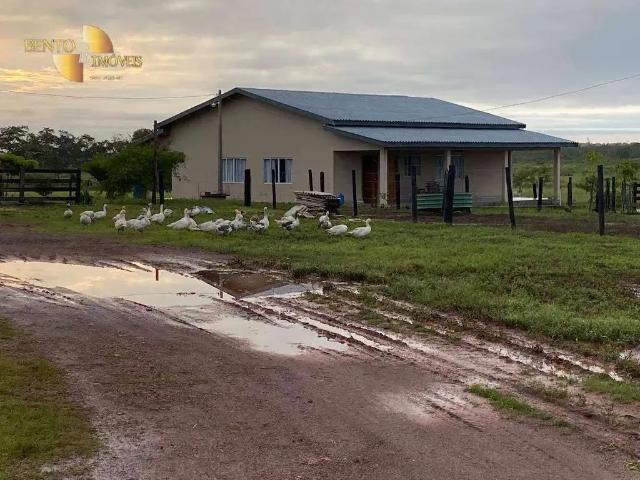 Fazenda venda em Pimenta Bueno, Região Norte