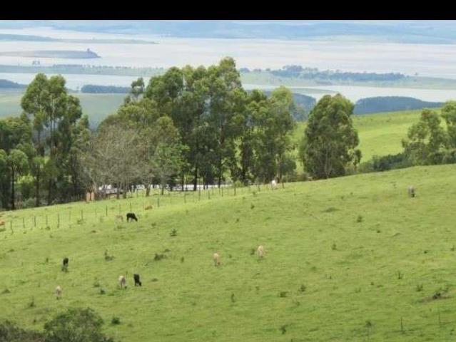Fazenda venda em Região Geográfica Imediata de Formiga, Pimenta