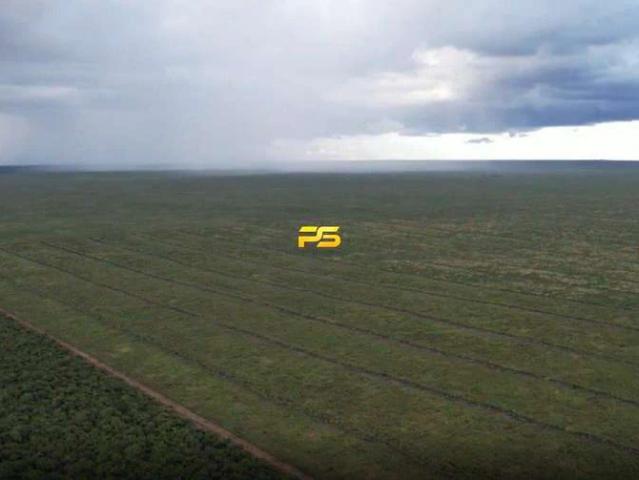 Fazenda venda em Pimenteiras, Região Geográfica Intermediária de Teresina