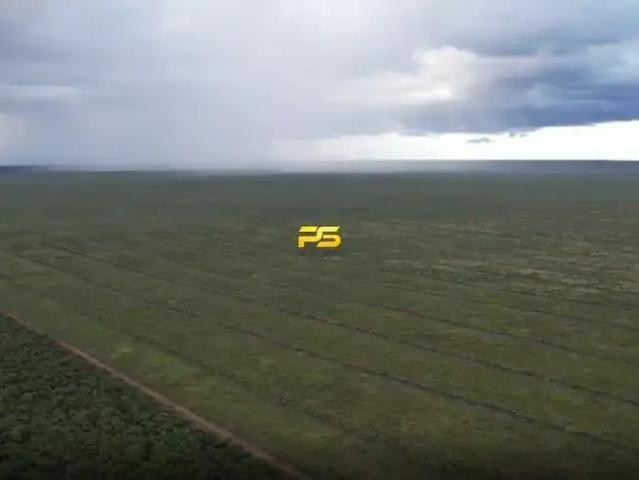 Fazenda venda em Pimenteiras, Região Nordeste