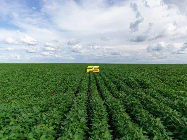 Fazenda venda em Pimenteiras, Região Nordeste