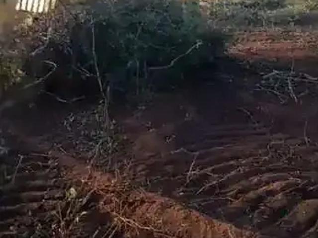 Fazenda venda em Pimenteiras, Região Nordeste