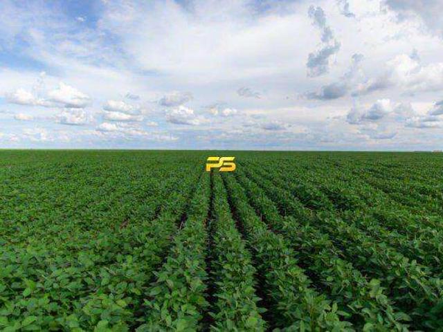 Fazenda venda em Pimenteiras, Região Geográfica Intermediária de Teresina