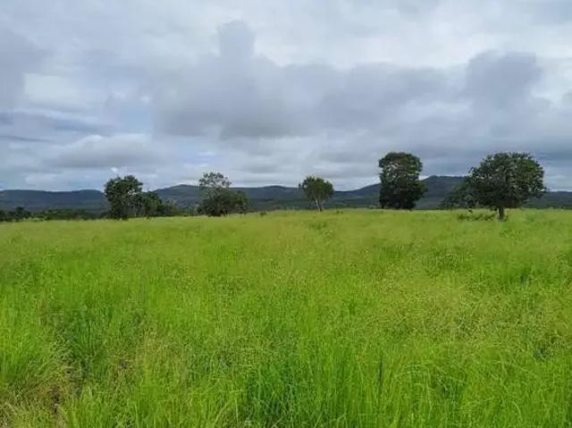 Fazenda venda em Região Geográfica Imediata de Porto Nacional, Pindorama do Tocantins