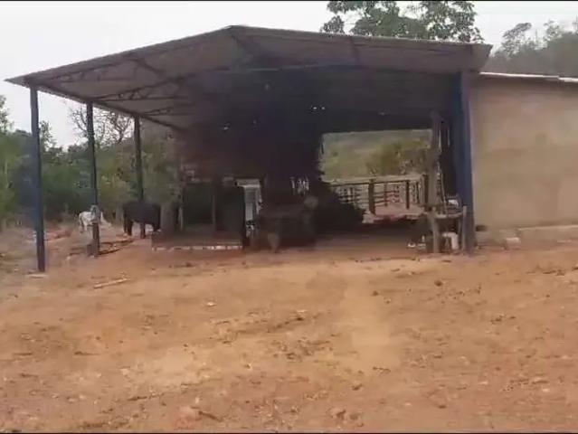 Fazenda venda em Região Geográfica Imediata de Porto Nacional, Pindorama do Tocantins