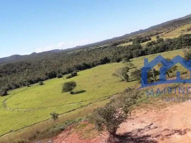 Fazenda venda em Região Imediata de Catanduva, Pindorama
