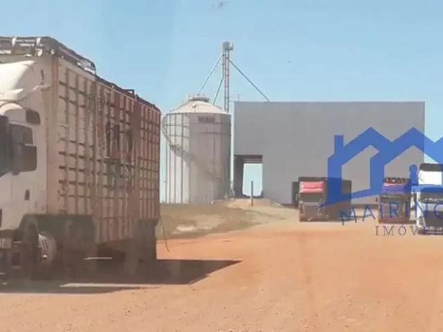 Fazenda venda em Região Imediata de Catanduva, Pindorama
