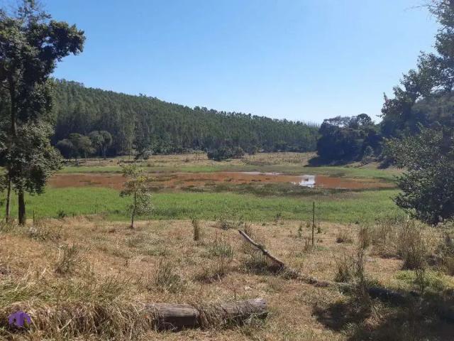 Fazenda venda em Região Geográfica Imediata de Ipatinga, Pingo d'Água