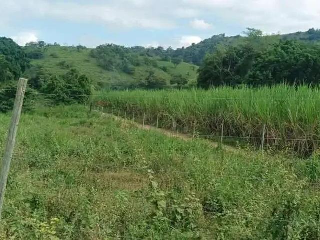 Fazenda venda em Região Geográfica Imediata de Ipatinga, Pingo d'Água