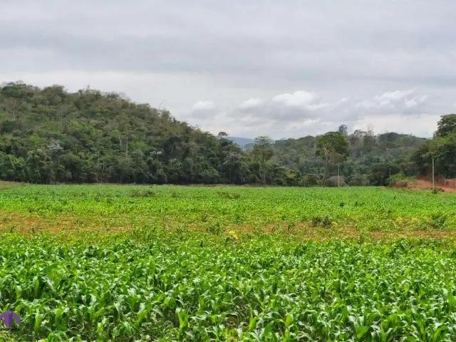 Fazenda venda em Região Geográfica Imediata de Ipatinga, Pingo d'Água
