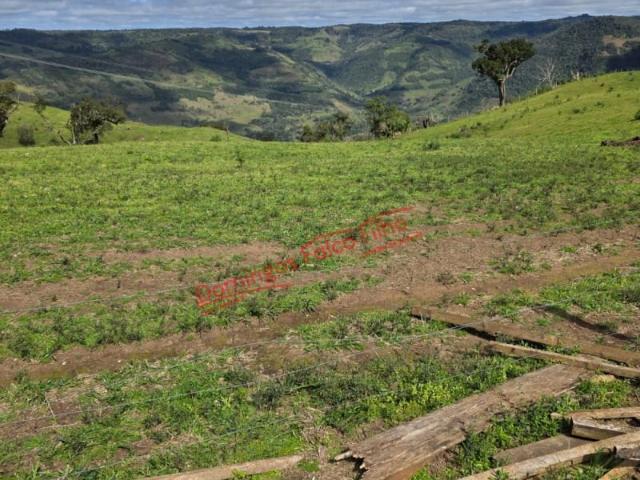 Fazenda venda em Pinhão, Região Geográfica Intermediária de Guarapuava