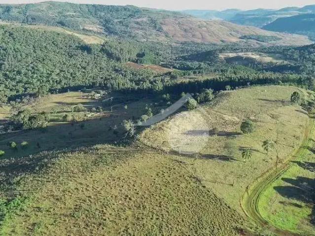 Fazenda venda em Região Geográfica Imediata de Guarapuava, Pinhão