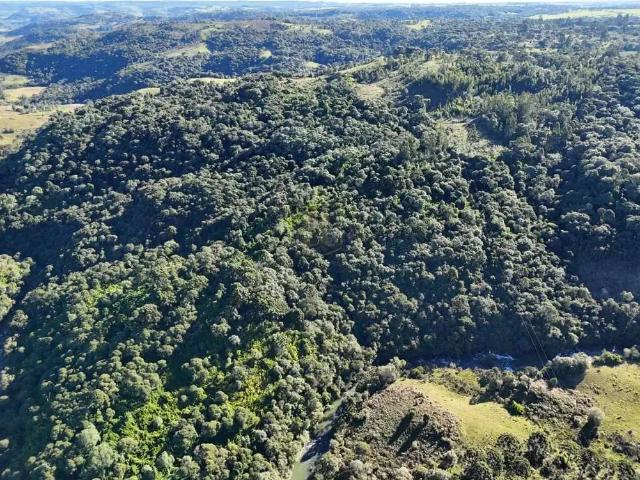 Fazenda venda em Região Geográfica Imediata de Guarapuava, Pinhão
