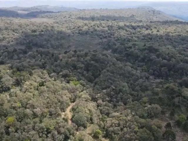 Fazenda venda em Região Geográfica Imediata de Guarapuava, Pinhão