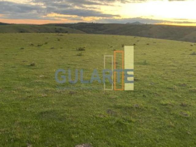 Sítio e chácara venda em Região Geográfica Imediata de Bagé, Pinheiro Machado