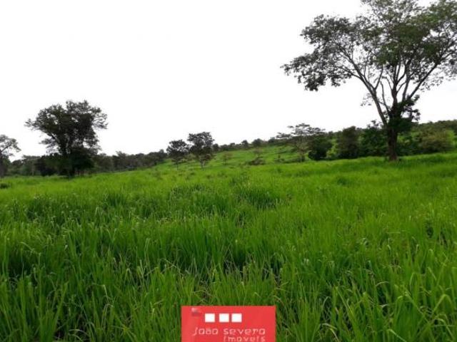Sítio e chácara venda em Região Geográfica Imediata de São Francisco, Pintópolis