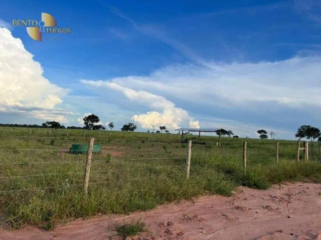 Fazenda venda em Região Geográfica Imediata de São Francisco, Pintópolis