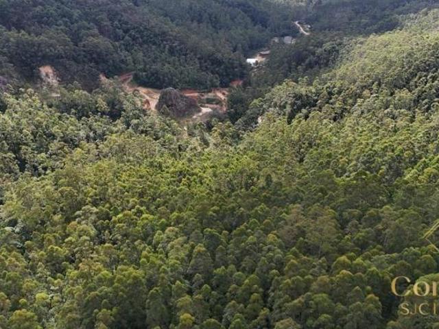 Sítio e chácara venda em Região Imediata de Guaratinguetá, Região Metropolitana do Vale do Paraíba e Litoral Norte