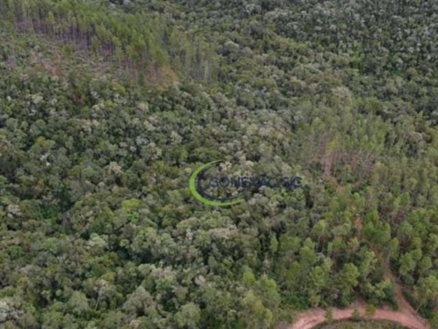 Sítio e chácara venda em Região Imediata de Guaratinguetá, Região Metropolitana do Vale do Paraíba e Litoral Norte