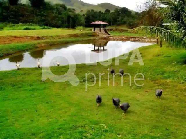 Fazenda venda em Região Imediata de Guaratinguetá, Região Metropolitana do Vale do Paraíba e Litoral Norte