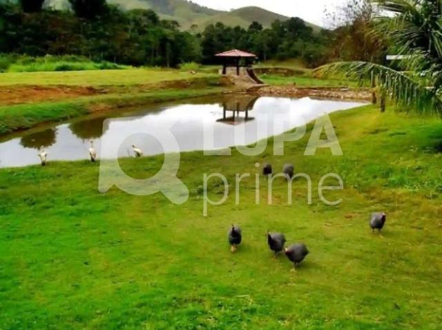 Fazenda venda em Piquete
