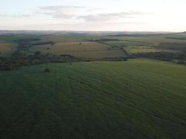 Fazenda venda em Região Geográfica Imediata de Piracanjuba, Piracanjuba