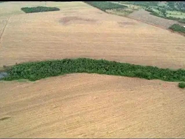 Fazenda venda em Região Geográfica Imediata de Piracanjuba, Piracanjuba