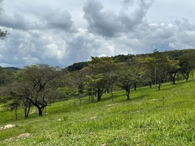 Sítio e chácara venda em Piracema