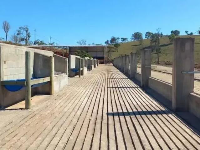Fazenda venda em Região Geográfica Imediata de Oliveira, Piracema