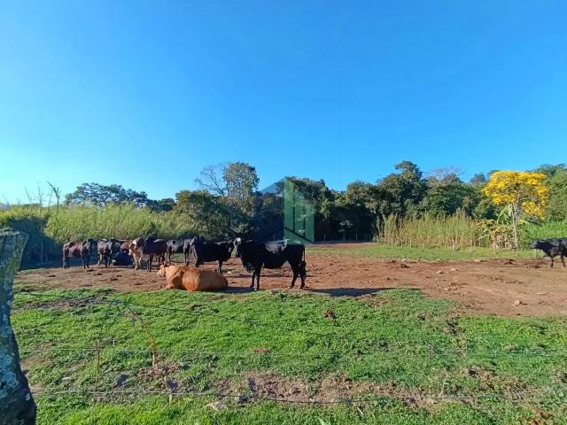 Fazenda venda em Piracema