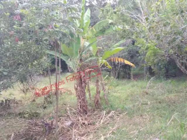 Fazenda venda em Região Imediata de Piracicaba, Região Metropolitana de Piracicaba