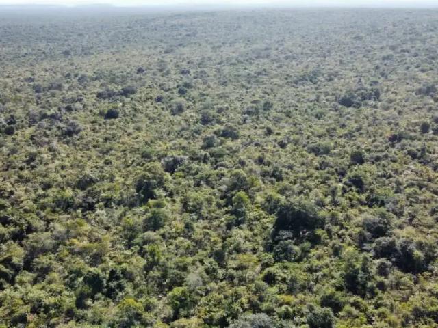 Fazenda venda em Piracuruca, Região Nordeste