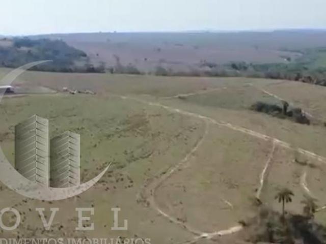 Sítio e chácara venda em Pirajuí, Região Geográfica Intermediária de Bauru
