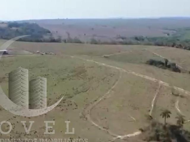 Sítio e chácara venda em Pirajuí, Região Geográfica Intermediária de Bauru