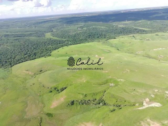 Fazenda venda em Região Imediata de Bauru, Pirajuí
