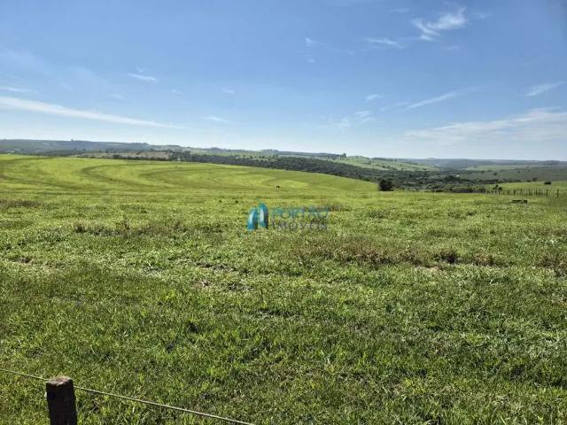 Fazenda venda em Região Imediata de Bauru, Pirajuí