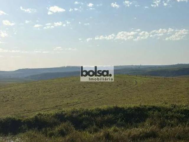 Fazenda venda em Pirajuí, Região Geográfica Intermediária de Bauru