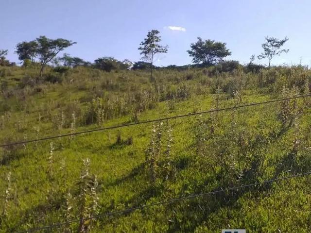 Fazenda venda em Região Imediata de Piraju, Piraju