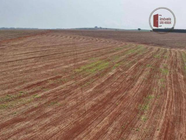 Fazenda venda em Região Imediata de Piraju, Piraju