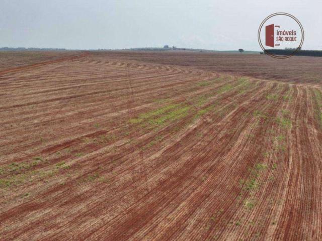 Fazenda venda em Região Imediata de Piraju, Piraju