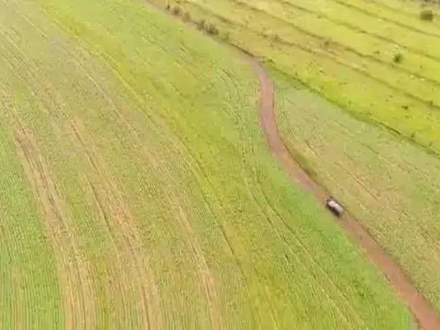 Fazenda venda em Região Imediata de Piraju, Piraju