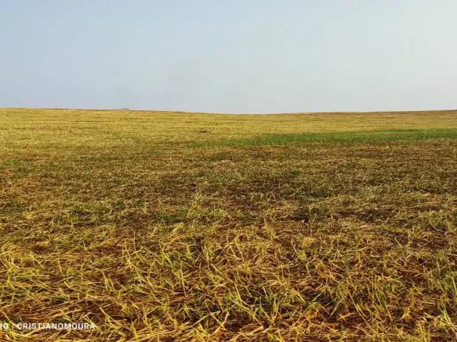 Fazenda venda em Região Geográfica Imediata de Pirapora, Pirapora