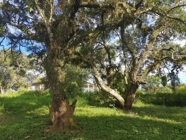 Fazenda venda em Região Geográfica Imediata de Curitiba, Região Metropolitana de Curitiba