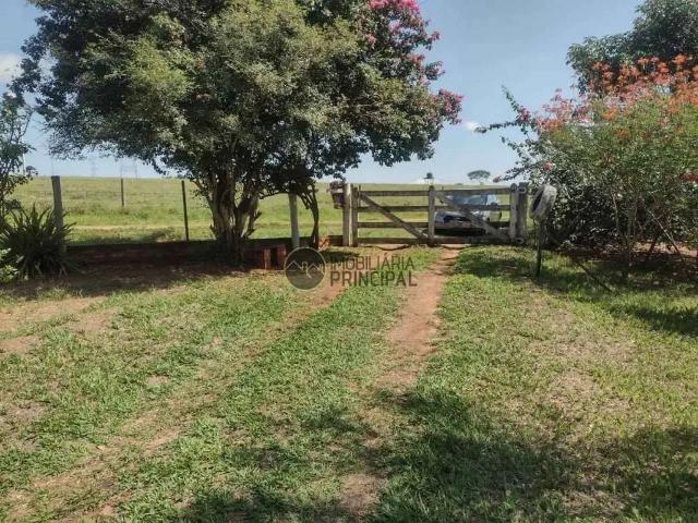 Fazenda venda em Região Imediata de Bauru, Piratininga