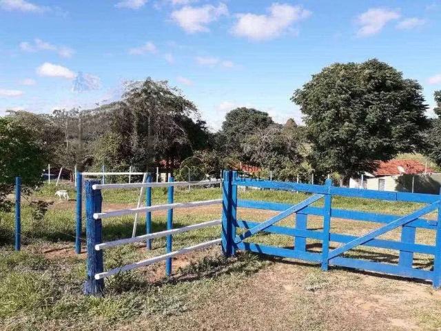 Fazenda venda em Região Imediata de Bauru, Piratininga