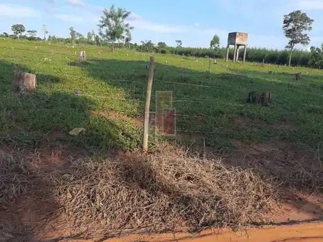 Fazenda venda em Região Imediata de Bauru, Piratininga