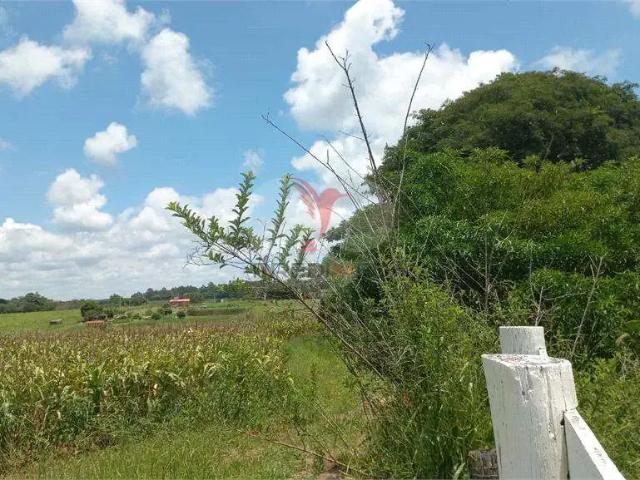 Fazenda venda em Região Imediata de Bauru, Piratininga