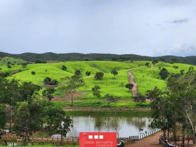 Sítio e chácara venda em Região Geográfica Imediata de Anápolis, Região Integrada de Desenvolvimento do Distrito Federal e Entorno