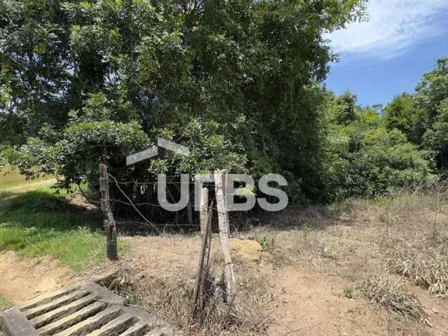 Fazenda venda em Região Geográfica Imediata de Anápolis, Região Integrada de Desenvolvimento do Distrito Federal e Entorno